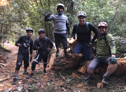 Group of five mountain bikers wearing helmets sitting on recently sawn log