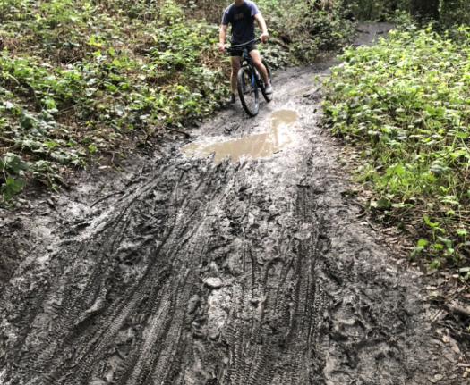 Mountain biker on wet trail, stopped in front of a puddle with many bike tracks in the mud