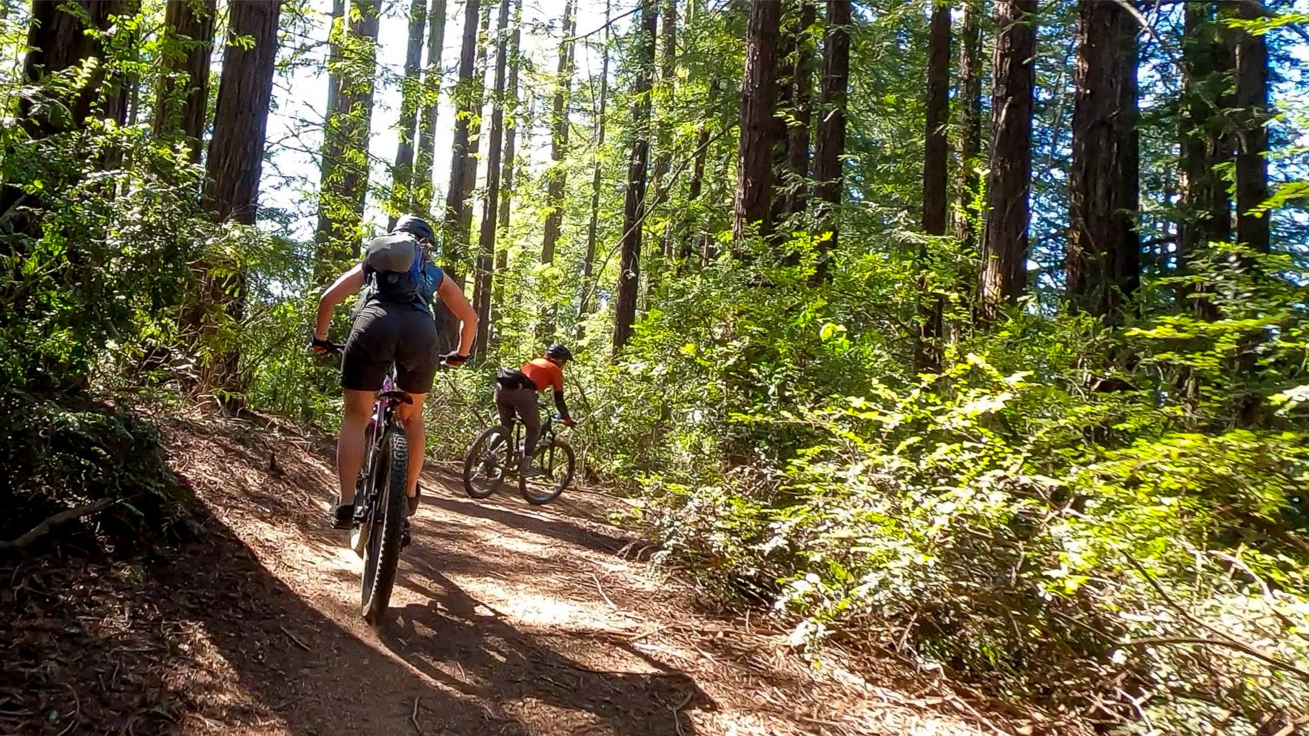 Ride Like a Girl – Women's MTB Ride – Soquel Demonstration Forest