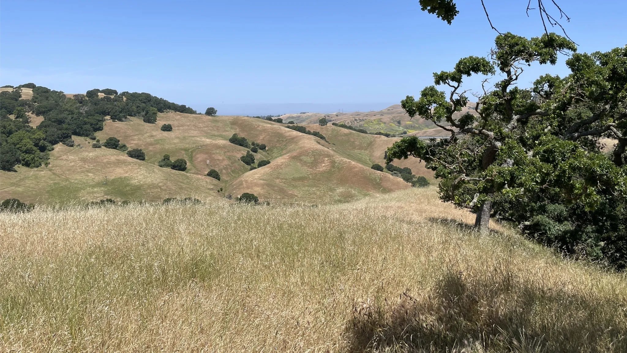 BTCEB Gala Ride SATURDAY Oct 31st at Fernandez Ranch!