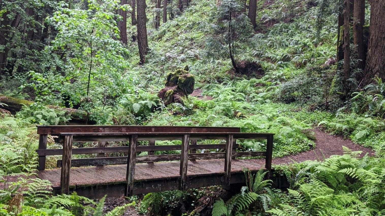 BTCEB Gala Ride 7/25 at El Corte de Madera Creek! INT+ ONLY (Sat)